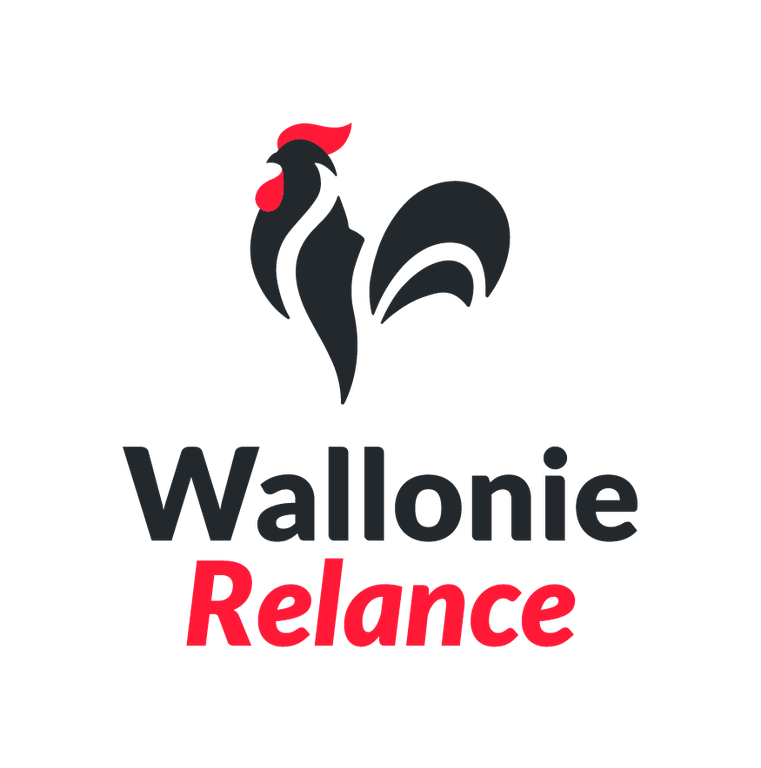 Plan de relance wallon